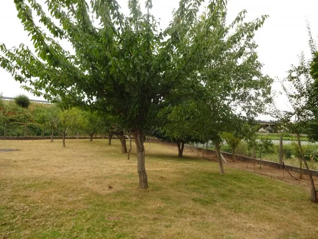 SE VENDE CASA SEÑORIAL PAREADA DE PIEDRA REFORMADA Y EN PERFECTO ESTADO EN PADRON — 35