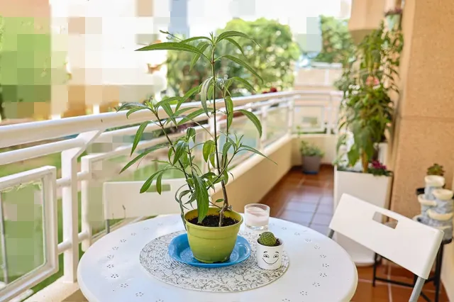 Espectacular vivienda de 4 dormitorios, dos baños y garaje, en segunda línea de playa — 6
