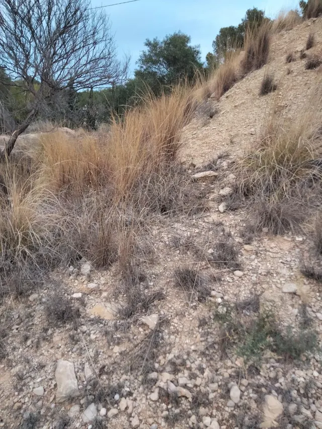 VENTA TERRENO - foto 5