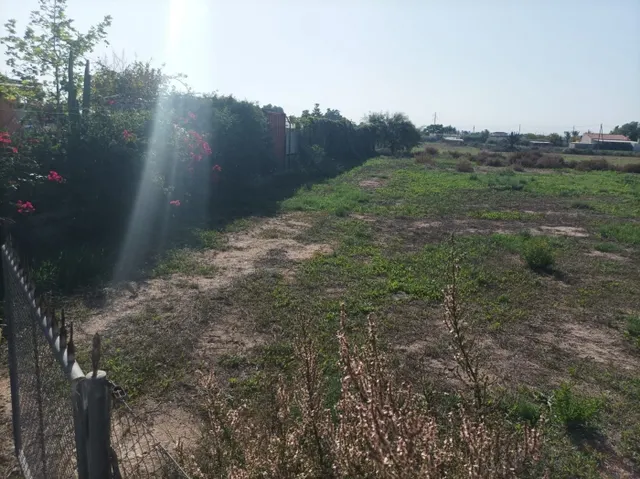 SE VENDE TERRENO RÚSTICO AGRICOLA PARA CONSTRUIR NUEVO CHALET — 6