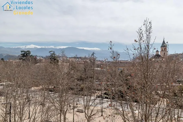 Piso con vistas a Sierra Nevada en Paseo del Salón. — 29