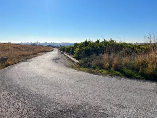 Dos parcelas junto a la variante de la N-340 en Castellón IDEAL PARA INVERSION, SUELO NO URBANIZABLE — 5