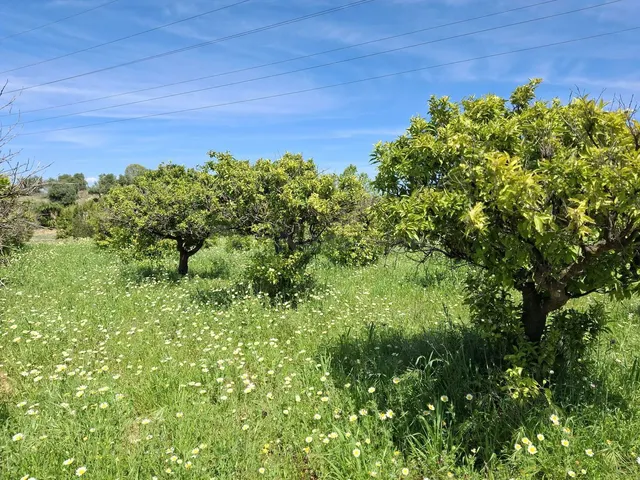 Terreno rústico de 3.413 m2 en Alhaurín de la Torre para proyectos rurales — 3