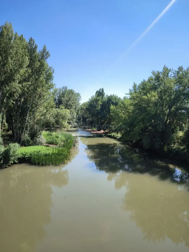 Local comercial 300m² en venta - Castilla y leon - foto 2