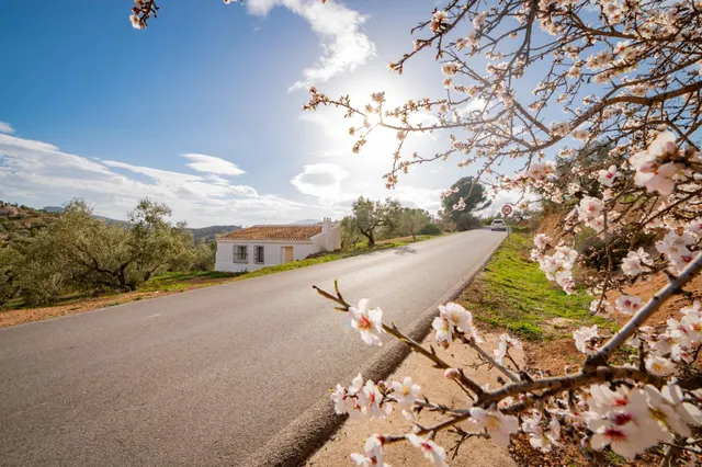 VENTA DE FINCA RUSTICA EN LA ZONA DE LA SIERRA DEL TORCAL — 32