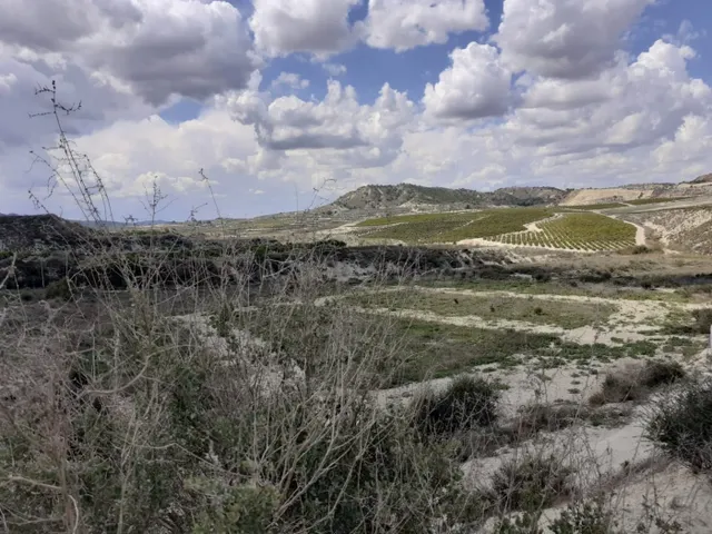 FINCA RUSTICA EN TORREMENDO - foto 3