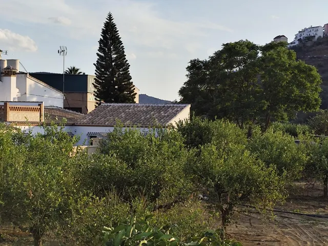 Parcela en venta - Alora pueblo — 6