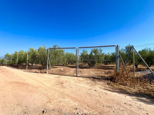 ALBOLOTE - PANTANO CUBILLAS - foto 2