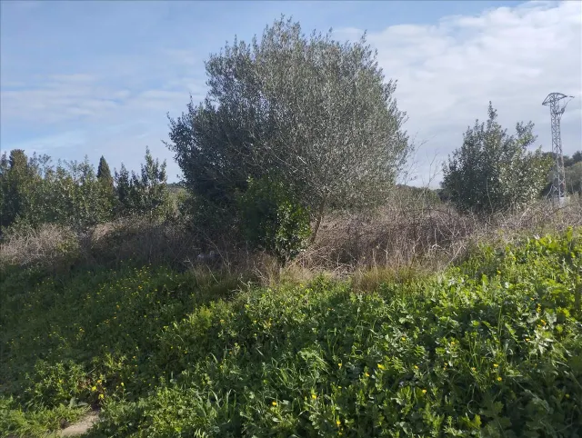 Terreno urbano 878m² en venta - Piverd-La Roella-Bruguerol — 11