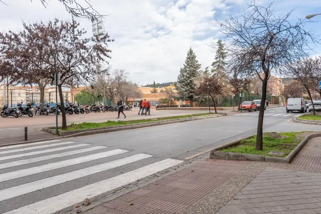 Local Comercial en Venta en Granada - Palacio de Deportes — 47