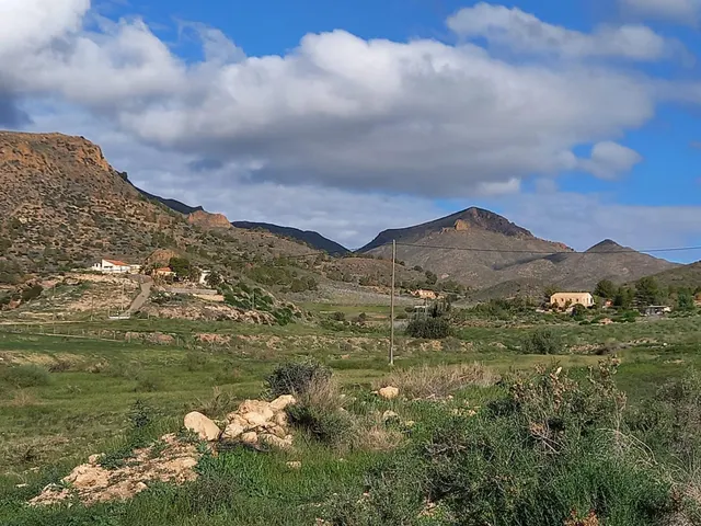 Refugio único con 3 viviendas, olivar y energía solar – Costa Cálida, Murcia — 30