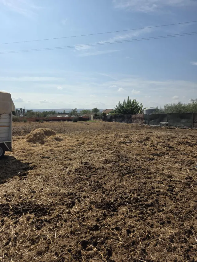 PARCELA EN LA ZONA DE LA BARQUERA — 2