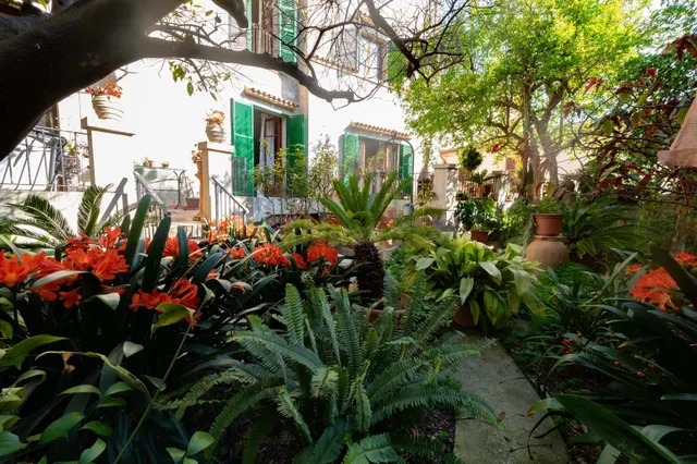 CASA CON CARÁCTER EN EL CENTRO HISTÓRICO DE SINEU - foto 4