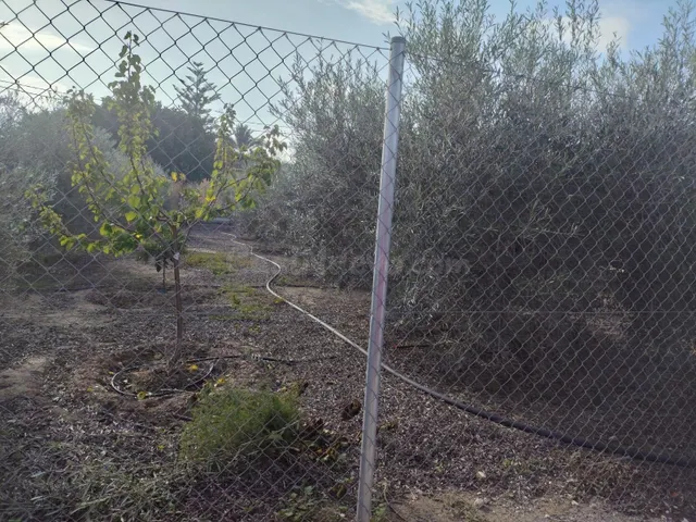venta Parcela - la zona la hoya-Elche - foto 3