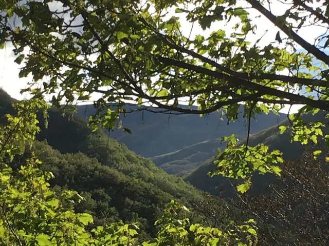 UNA CASA CON ALMA EN PLENA NATURALEZA DEL VALLE DE COMPLUDO — 21