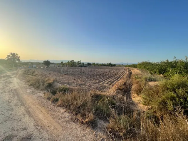 Terreno rural en venta - La Hoya-Daimes-El Derramador - foto 5