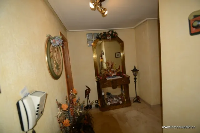 ¡¡ GRAN OPORTUNIDAD. VIVIENDA CÉNTRICA EN ORIHUELA !! Piso de 102 m2. construidos, distribuidos en 3 habitaciones, 2 baños. Zona Centro de Orihuela. — 6