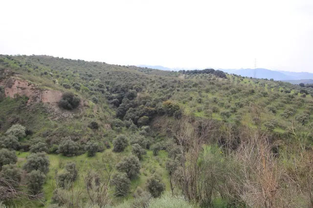 FINCA EN CORTIJO SAN JERÓNIMO (BARTODANO) — 48