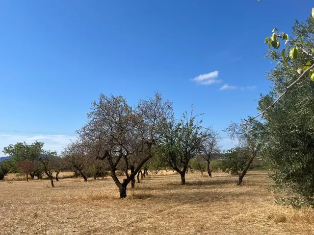 Finca rústica con vivienda en Cretas — 15