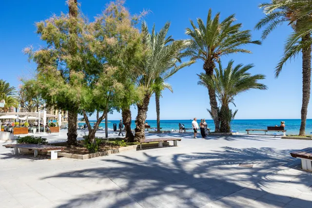 Apartamento de 3 dormitorios 1 baño 1 aseo en Torrevieja (playa del cura) — 48