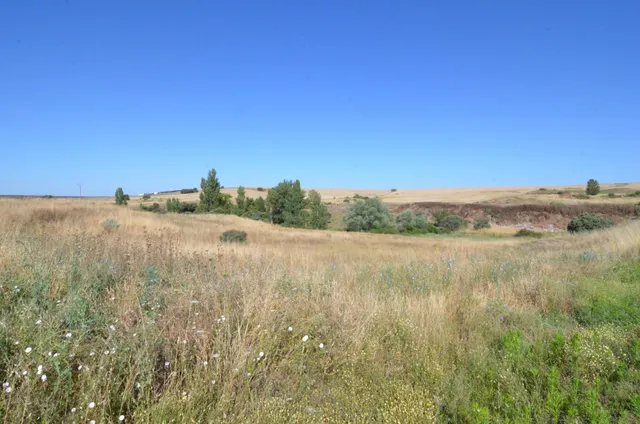 Urbis te ofrece un terreno en venta en Almenara de Tormes, S - foto 3