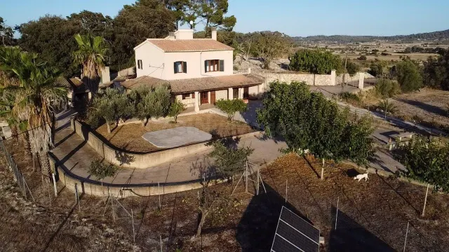 ALQUILER EXCELENTE FINCA AFUERAS DE SINEU