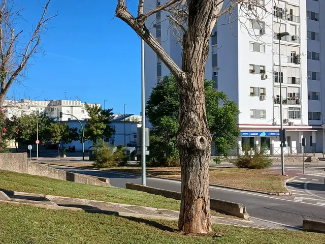 Amplio Piso en zona oeste Ideal para Entrar a Vivir — 21