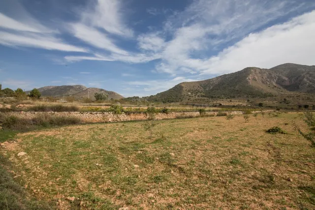 TERRENO DE CULTIVO DE VIÑAS EN VENTA EN ALGUEÑA - foto 3