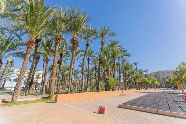 ¡Tu nuevo hogar a estrenar frente al parque en Altabix! — 6
