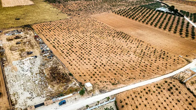 Terreno en Pinoso - foto 4