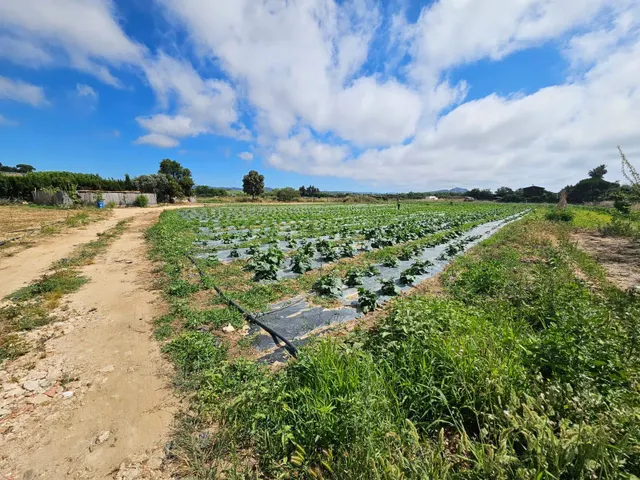 Terreno agricola en venta en Malgrat de Mar — 23