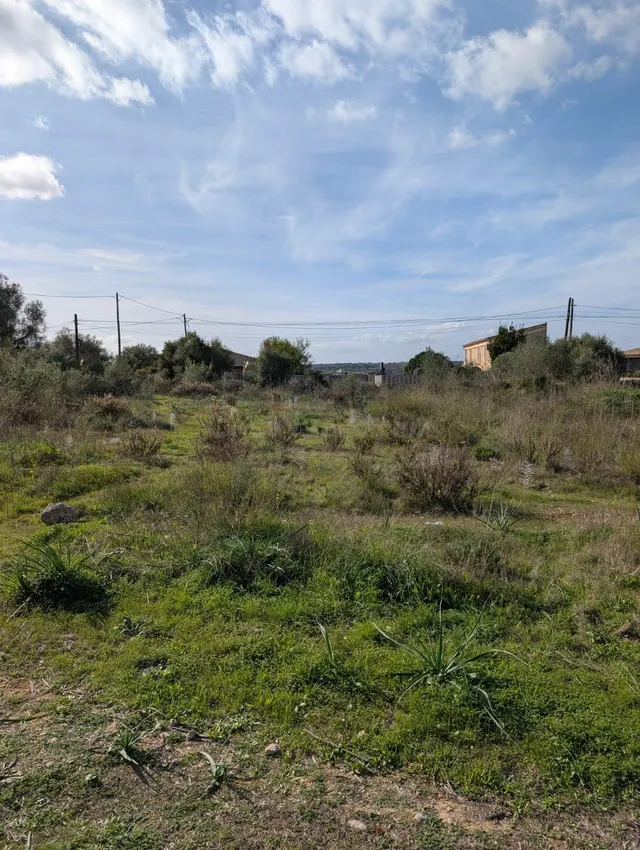 MAGNIFICA FINCA RUSTICA EN SINEU - foto 2