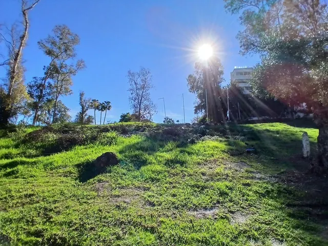 Terreno edificable con licencia en Guadalmina Marbella — 7