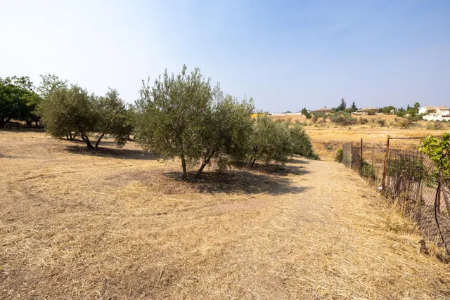Encanto rústico con casita y olivos en Moraleja de Zafayona 🌿 — 38