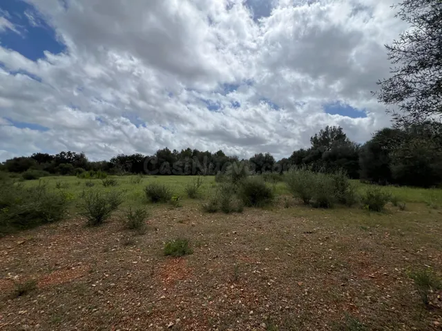 Terreno en Sencelles para construir - foto 3