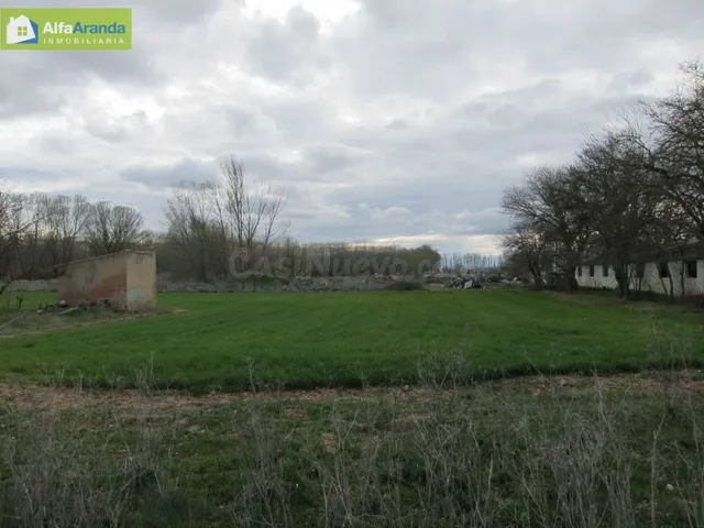 FINCA RUSTICA - foto 3