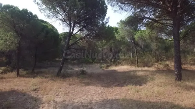 Terreno Rústico en Villablanca Valdearcos