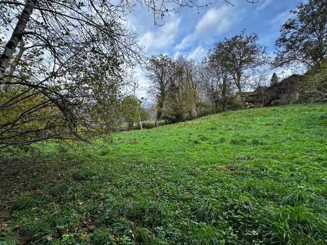 FINCA EDIFICABLE A 3 KM DE CANGAS DE ONIS — 8