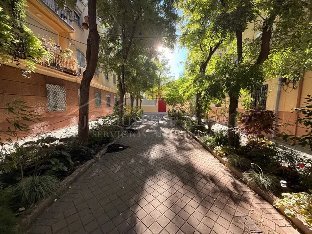 Acogedor piso para reformar de 3 habitaciones en abrantes — 26