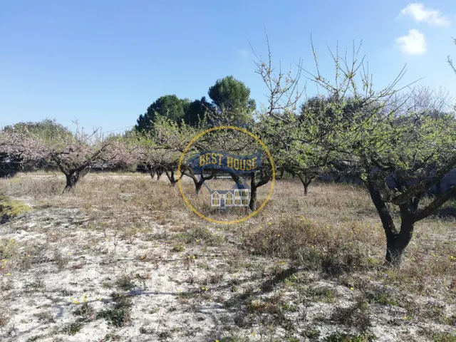 TERRENO AGRICOLA EN ONTINYENT — 10