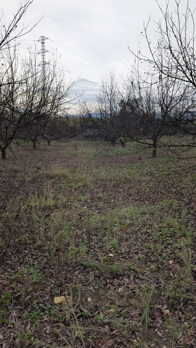 Parcela en venta - Puerto Sol-Los Almendros-El Tomillar — 28
