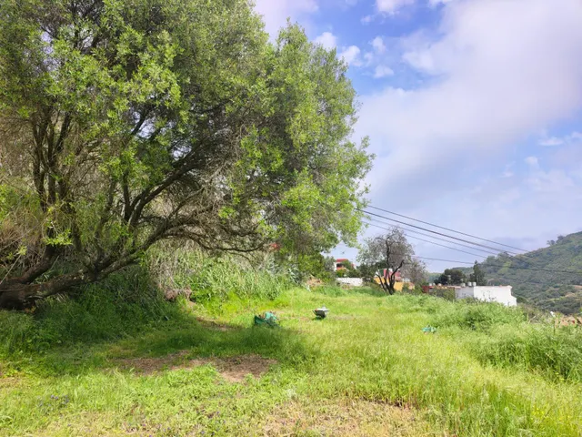 Terreno rural en venta - La yedra gran canaria — 9