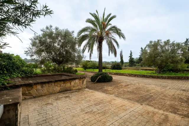 Finca mallorquina con carácter, jardín mediterráneo y vistas a la Serra de Tramuntana · Biniali — 50