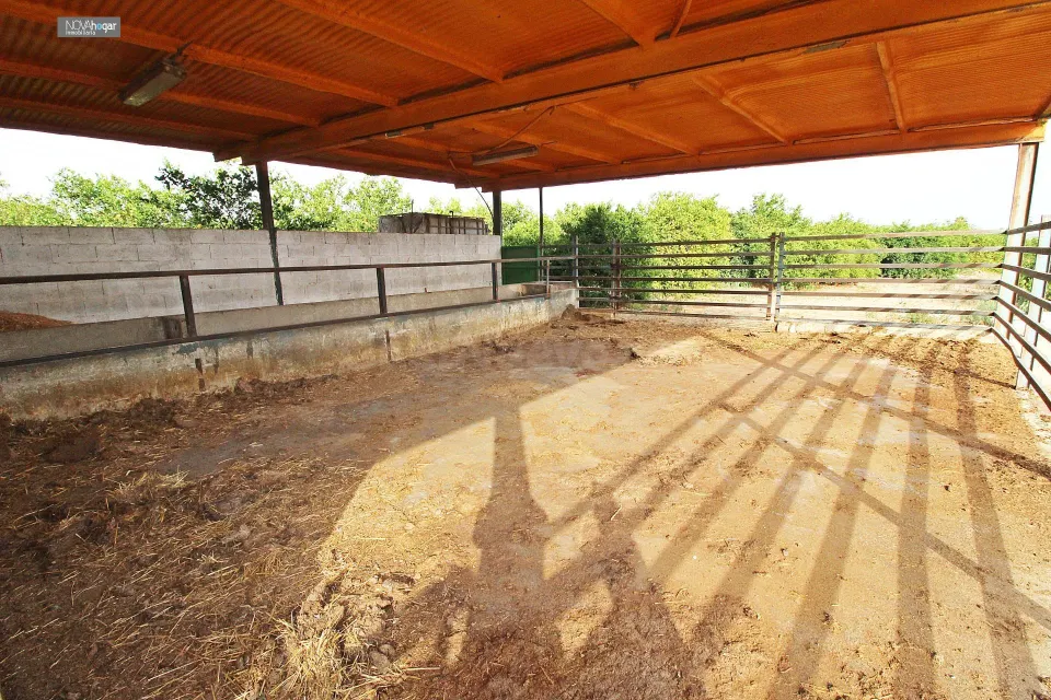 FINCA RÚSTICA EN CAMPANILLAS