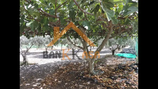 SE VENDE CASA CON TERRENO EN CHERÍN (UGÍJAR) PROVINCIA DE GRANADA — 40