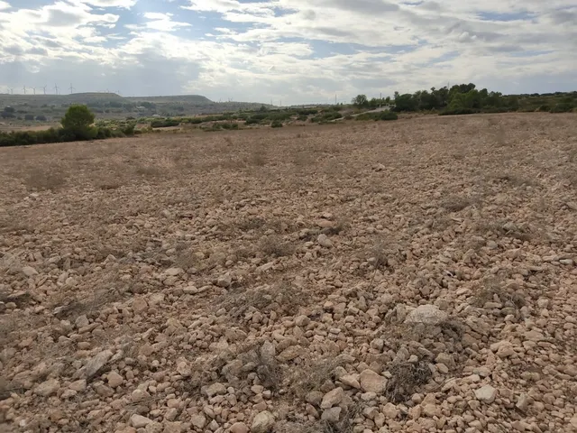 PARCELA DE 15.000 M2 EN PARAJE DE LOS ESPETONES. EXCELENTE ubicación Y ACCESO — 2