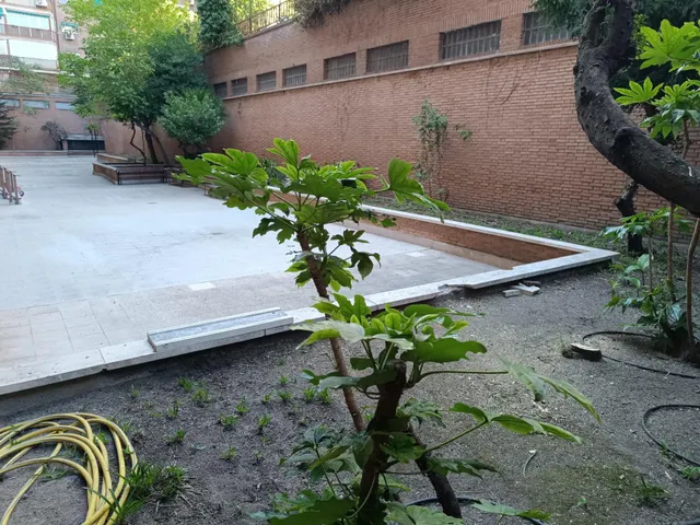 Exterior de 3 dormitorios 2 baños mas aseo de cortesia, para entrar a vivir, buena finca, portero fisico y de fin de semana, zonas comunes ajardinadas y deportivas, excelente zona y muy bien comun — 41