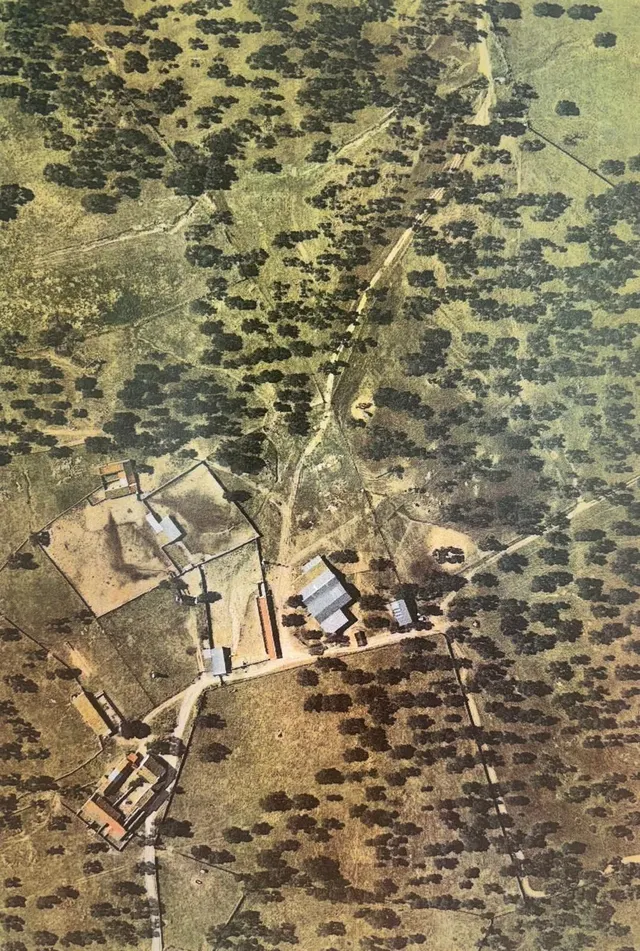 Venta de Finca Agricola y Ganadera