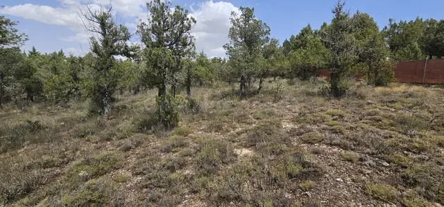 Solar residencial en Venta en Duruelo Segovia — 12