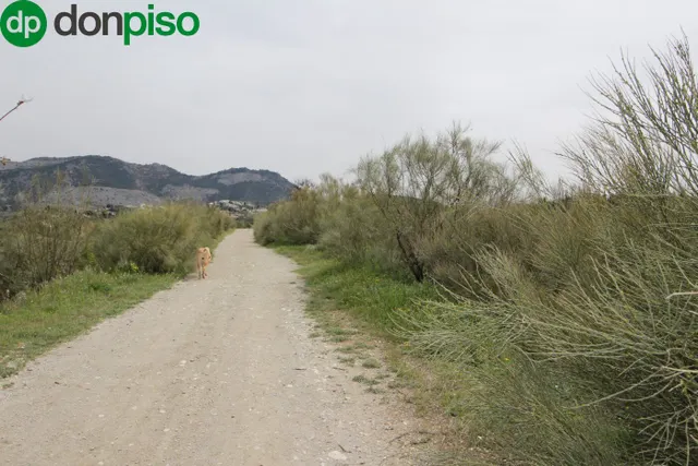 FINCA EN CORTIJO SAN JERÓNIMO (BARTODANO) — 20